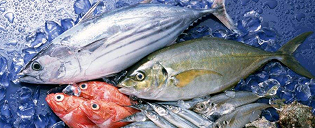 Aquatic Product